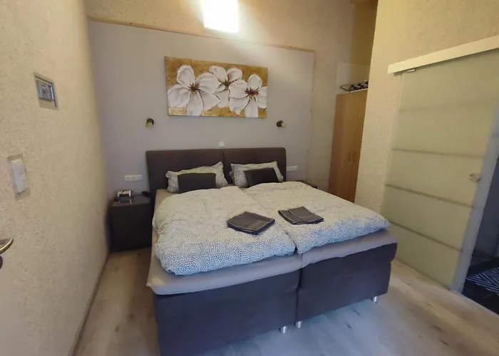 招待所 Gaestehaus Im Alten Faehrhaus 4*